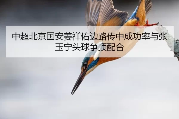 中超北京国安姜祥佑边路传中成功率与张玉宁头球争顶配合